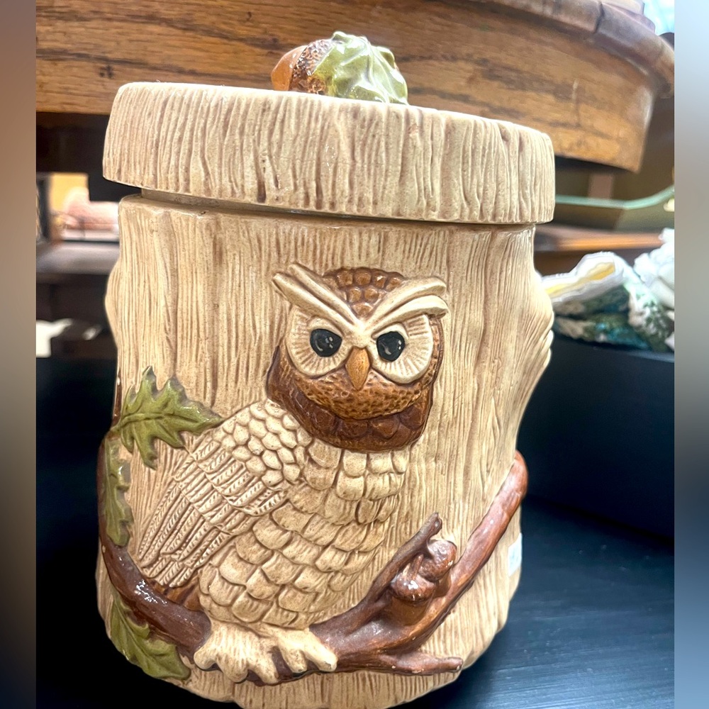 Large Vintage ceramic owl themed canister